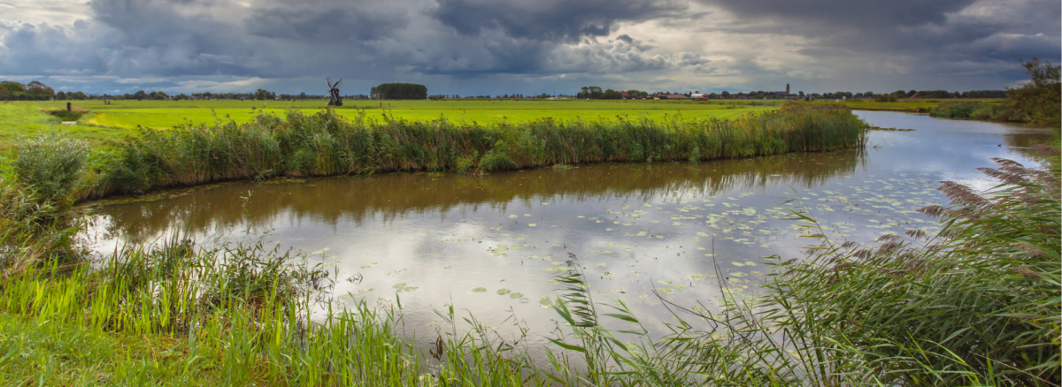 FMF doet mee met massaclaim tegen de Staat over PFAS in de bodem