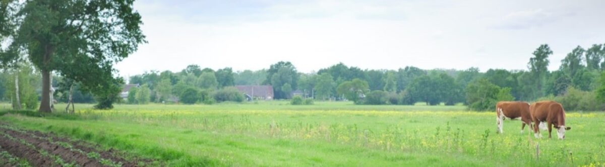 4 juni Bijeenkomst: Voederhagen, nut en noodzaak voor de melkveehouderij