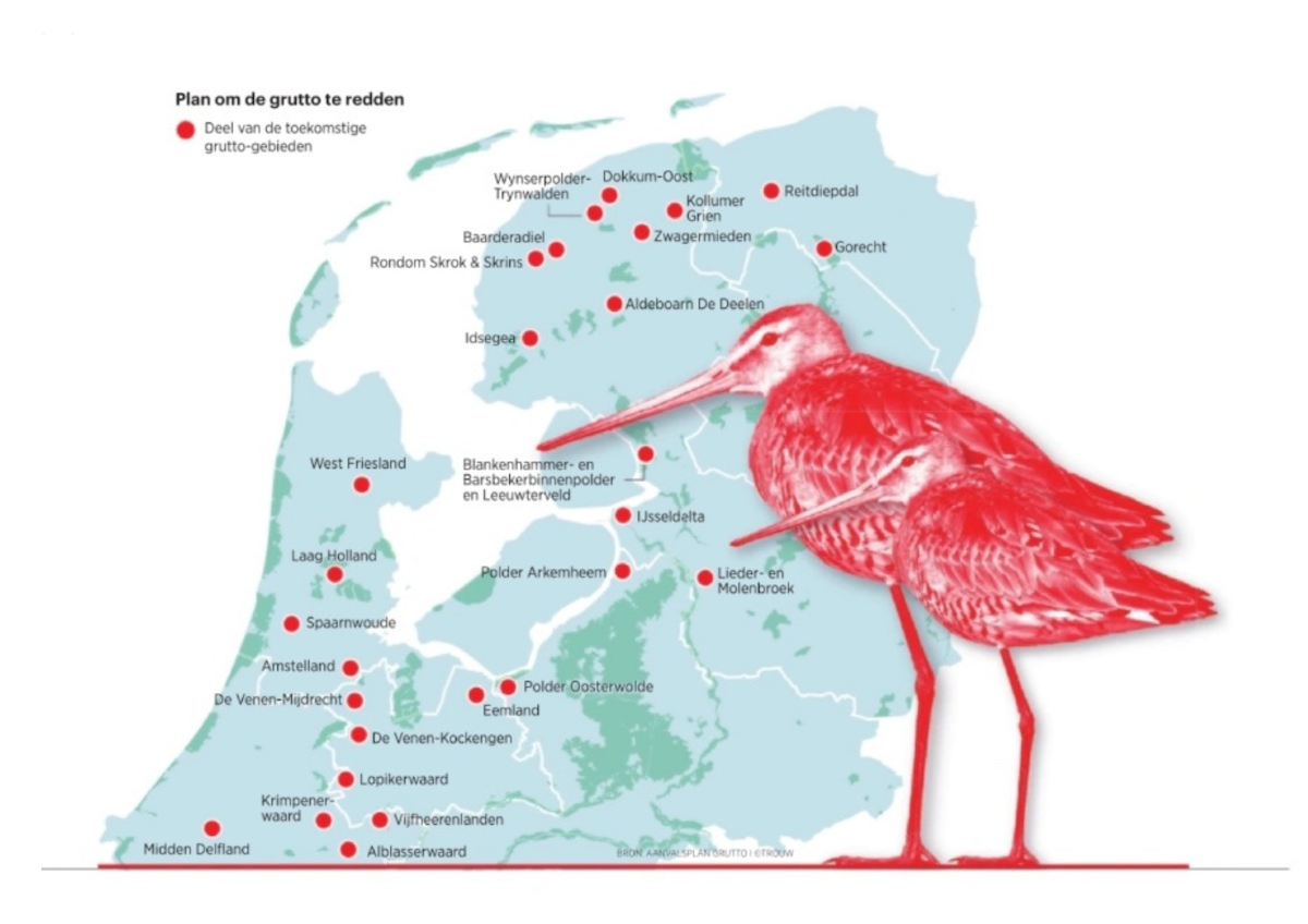 FrieslandCampina en Aanvalsplan Grutto slaan handen ineen voor versterking natuurwaarden en weidevogelbeheer