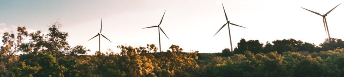 Kwaliteitsbudget voor wind- en zonneparken: het Fries Energiehuis zoekt projecten!