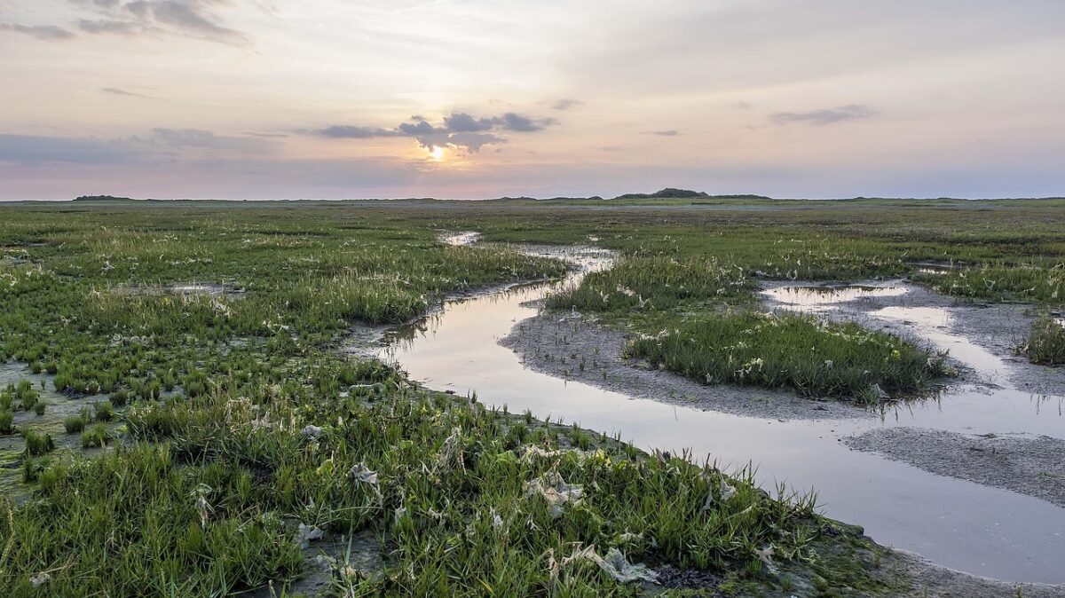 Kabeltracé door Schiermonnikoog is niet het meest milieuvriendelijke alternatief 