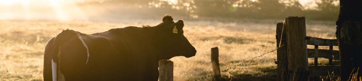 11 november | Bijeenkomst Boeren tussen Boomwallen