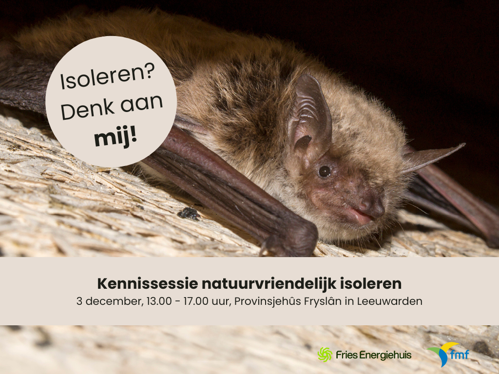 3 december | Kennissessie natuurvriendelijk isoleren: samen verduurzamen, mét natuur