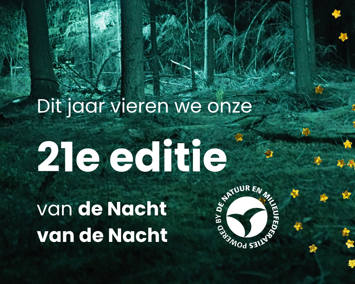Documentaire ‘The Dark Side of Bright Nights’ en nachtwandeling in Leeuwarden