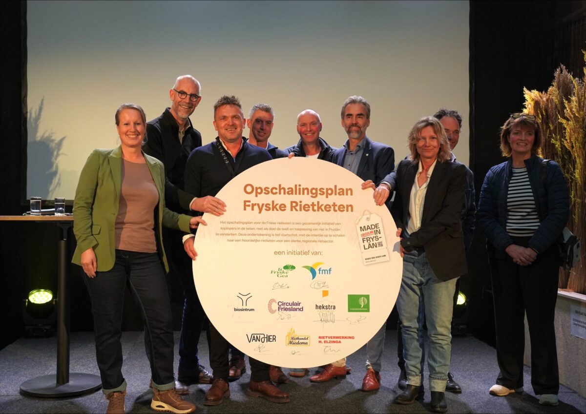 Fryske Rietketen: bouwen aan een natuurrijke toekomst