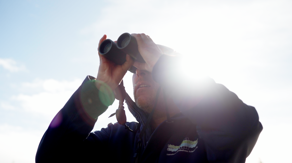 Boeren tussen Boomwallen laat duidelijke resultaten zien voor biodiversiteit én grasland
