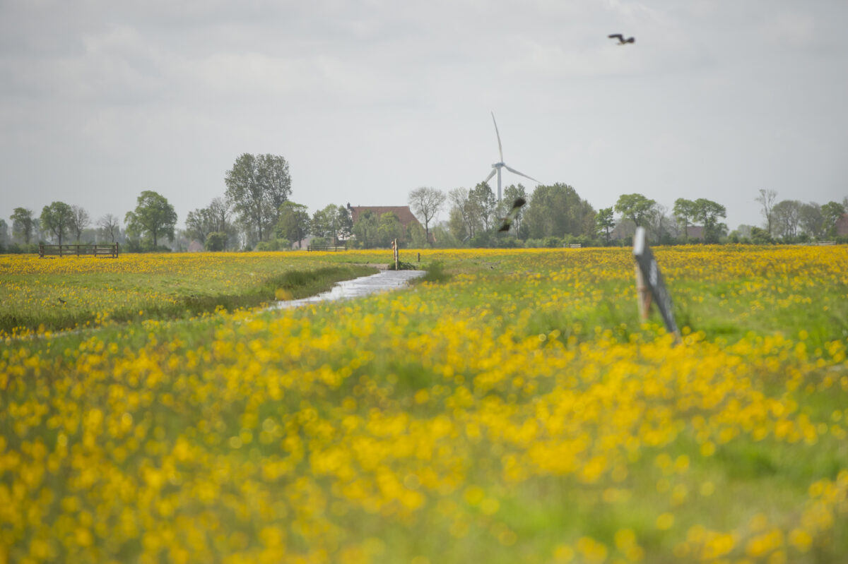 Loket Natuer op eigen Grûn geopend!
